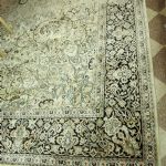 909 8509 ORIENTAL RUG